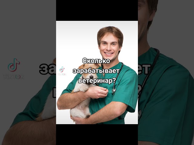 сколько зарабатывает ветеринар в санкт петербурге. сколько зарабатывает ветеринар в санкт петербурге. сколько зарабатывает ветеринар. сколько зарабатывает ветеринар в месяц. сколько получает ветеринар в месяц.