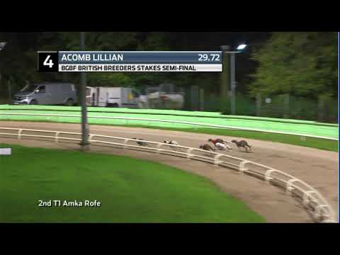 2020 BGBF STAKES - 3RD SEMI - T4 ACOMB LILLIAN