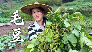 Download the video "毛豆还能这样吃？两种新吃法，太香了"