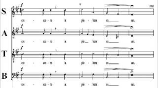 Ecce Sacerdos Magnus - Stadler - Soprano