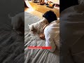 Suriya Jyothika Cute Family Video ️ ️ ️ ️ Suriya Jyothika Suriyajothika