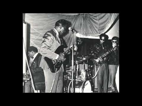 The Muddy Waters Blues Band - Bloodstains On The Wall
