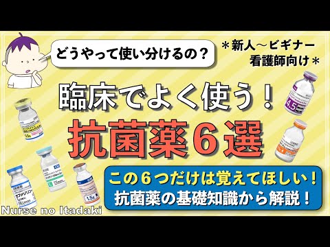 天然の抗生物質: これらの薬用植物には多くの効果があります トピックス