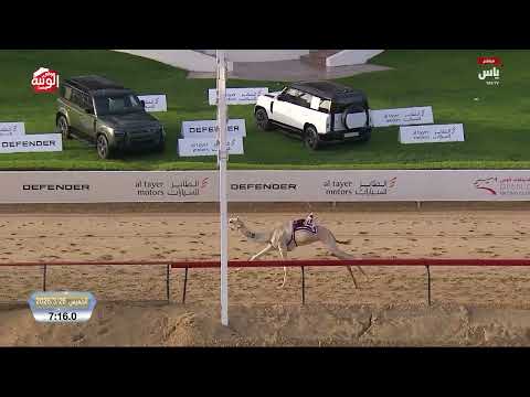 ملخص السباق الجولة الثانيه ، ختامي المرموم 2026/03/26 لقايا