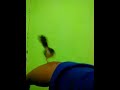 Ciblek Jitot Gacor Dar Der Dor Wa Udin Bogor