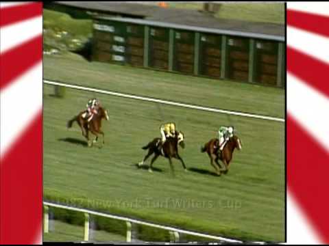 Saratoga 150 feature: Steeplechase champion Zaccio