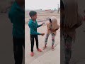 Main Itni Sundar Hoon Me Kya Karu Funny WhatsApp Status Funny Video Youtubeshorts Short