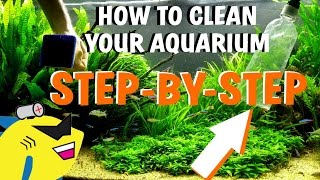 HOW TO CLEAN YOUR AQUARIUM - Planted Tank Water Change/Gravel/Substrate Cleaning