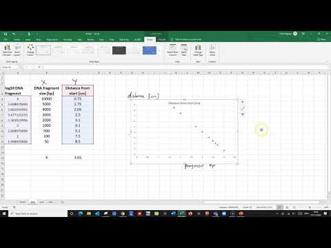 Analysing DNA fragments