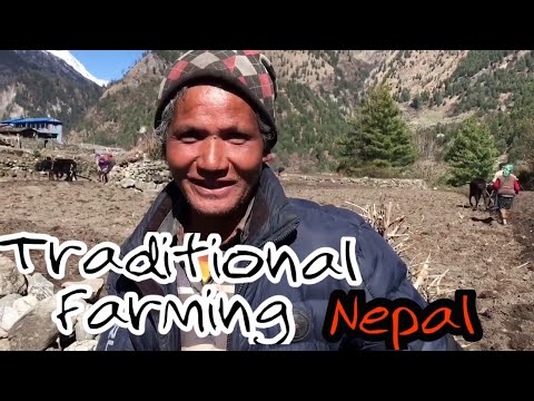 हिमाली पारम्परिक खेती शैली, मनाङ्ग, नेपाल
