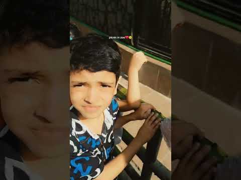 14 July 2024 picnic at zoo    #lahorezoo #familyvlog #familypicnic #love #animation #animals #fyp