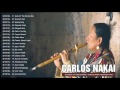The Best Of Carlos Nakai Songs | Carlos Nakai Greatest Hits Playlist 2017