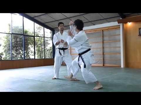 Atogeiko with Daiyu Takeda Sensei (Aikido Kenkyukai International)