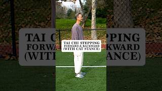 Tai Chi Forward Step Drill demonstration thumbnail