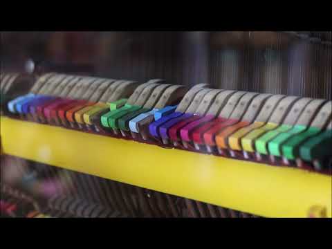 Fantastic piano, you could see the hammers moving while playing - New Orleans 2023