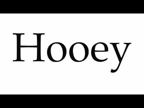 How to Pronounce Hooey