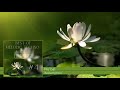 Best Of Melodic Techno 4 Worakls Solee Ben Böhmer Max TenRom Yotto BBE Nu Bal