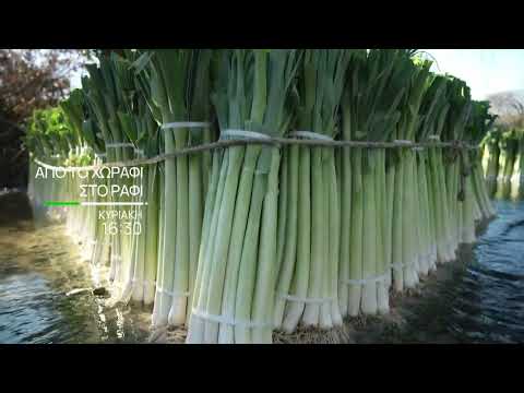 Από το Χωράφι στο Ράφι | Κυριακή 27/4, στις 16:30 | ΕΡΤ3