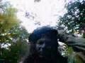 rainbow family Magic hat song 