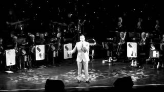 Sway - Shane Hampsheir & His Big Band (Live)