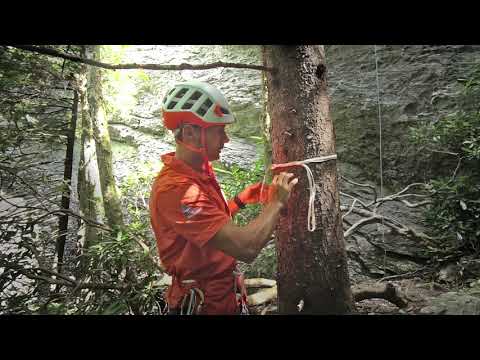 Making an anchor on a tree. Surgeons Knot