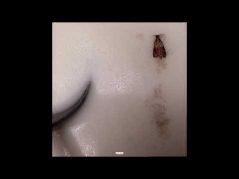 01. drip-133 - mothmilk (ft. Bones)