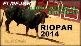 preview picture of video 'Ultimo Encierro de este Verano RIOPAR 2014'