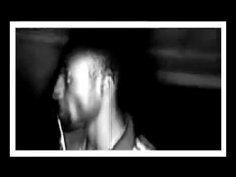 Darling   Afunika Performance