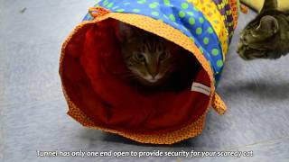 Petstages (Петстейджес) Cat Cuddle Toy Кошачий тоннель для кошек