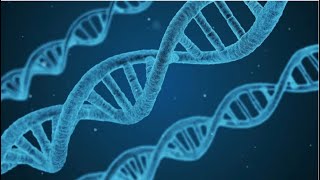 Topic 2.1-2.5 for IB Biology (Molecular Biology)