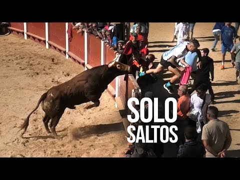 Toros Bravos Solo Saltos