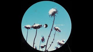 THE CREATURES - Venus Sands (Filmed Record) Vinyl LP Album Version 1989 Siouxsie And The Banshees