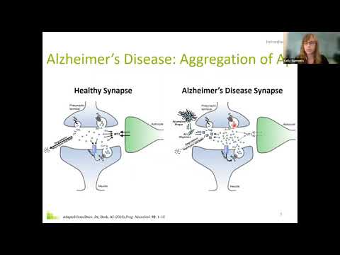 X-ray Absorption Spectroscopy in Understanding and Treating Alzheimer's Disease -- Dr. Kelly Summers