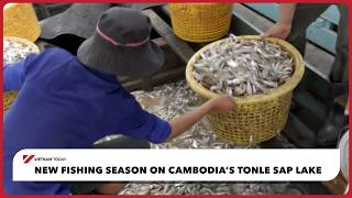 New fishing season on Cambodia’s Tonle Sap Lake | Vietnam Today