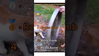 Download lagu Goofy cats 🐈 mp3