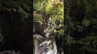 野猿谷　独舞台