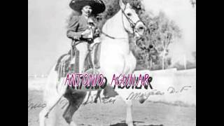CABALLOS DE PATAS BLANCAS...CON HERRADURAS SE ACERO..ANTONIO AGUILAR