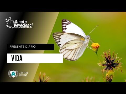 Presente Diário | Vida | 21/11/2022
