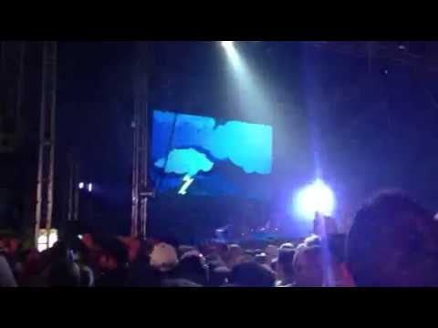 Creamfields 2013: Steve aoki - tsunami