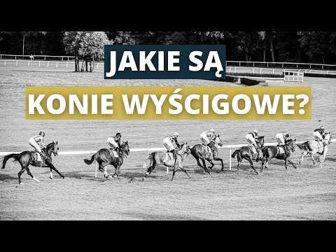Jak wygląda praca z końmi wyścigowymi? - Wyścigowy Start (odc.4)