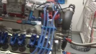 FORD MUSTANG 347 SBF 500 HORSE POWER RAYMOND  MANLEY