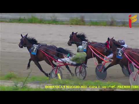 IV Corsa del 8 Maggio 2022 - 5 Anni ed oltre - Metri 2000 - Gentlemen