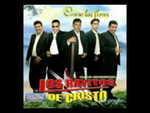 Los rayitos de cristo rey de reyes