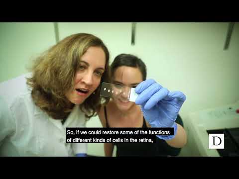 download lagu mp3 mp4 Regenerative Foods, download lagu Regenerative Foods gratis, unduh video klip Download Regenerative Foods Mp3 dan Mp4 Unlimited Gratis