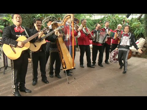 Kapelle Oberalp & Los Mariachis - La Adelita