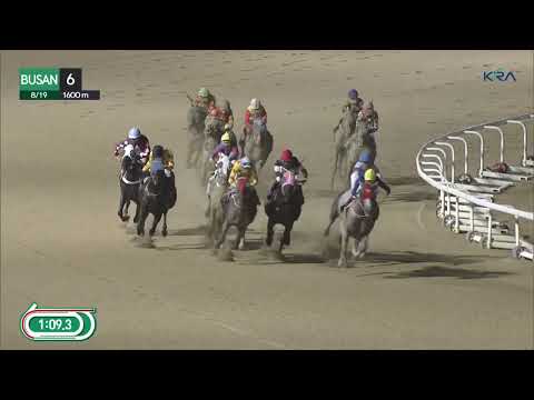 (Busan) 2022.08.19 R6 Haneul Jeonsa fighting on