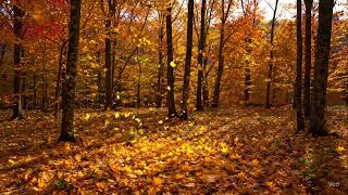 The Most Realistic CGI Leaves Ever Made