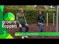 Groene Koppen 14 oktober 2020