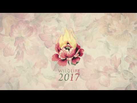 Wildlife - 2017 (Official Audio)