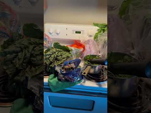 Keeping Fit and Energized with Juicing. Hashtags: #HealthyLiving #JuicingRoutine #StayFit#nutrition